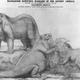 Illustration for article titled Strange 19th Century Drawings of Dinosaurs and Other Extinct Animals
